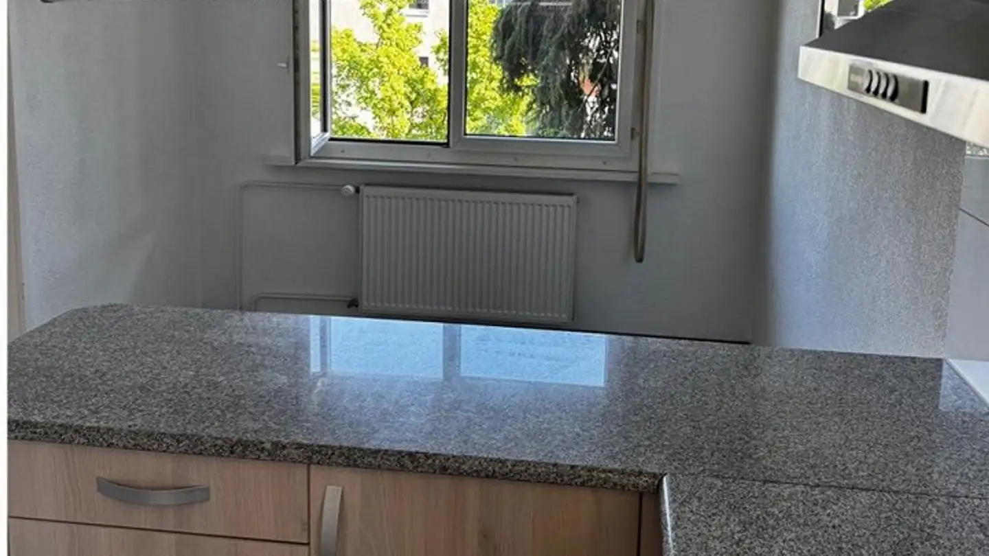 Appartamento in affitto - Holzmoosrütistrasse 44a, 8820 Wädenswil - Photo 3