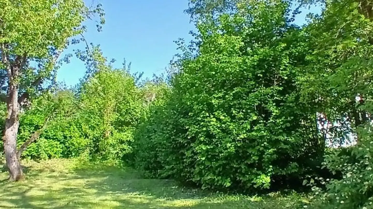 Duplex for rent - Dorfstrasse 14, 9122 Mogelsberg - Photo 4