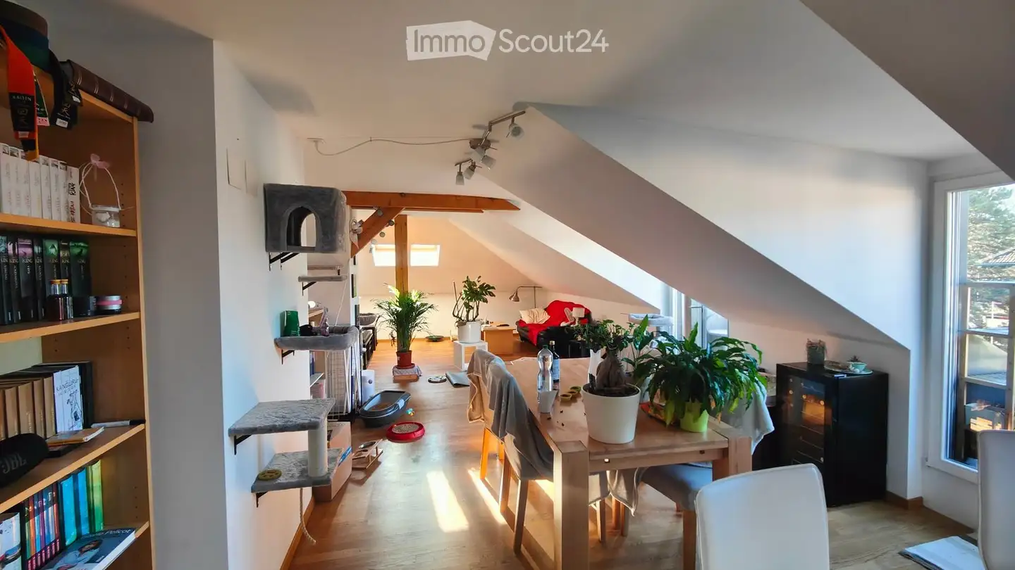 Appartamento in affitto - 3013 Bern