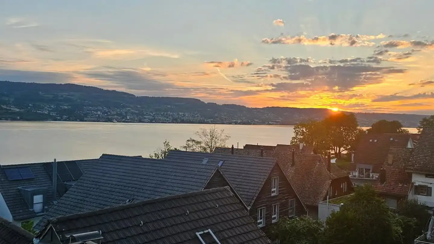 Appartement à louer - 8810 Horgen - Photo 2