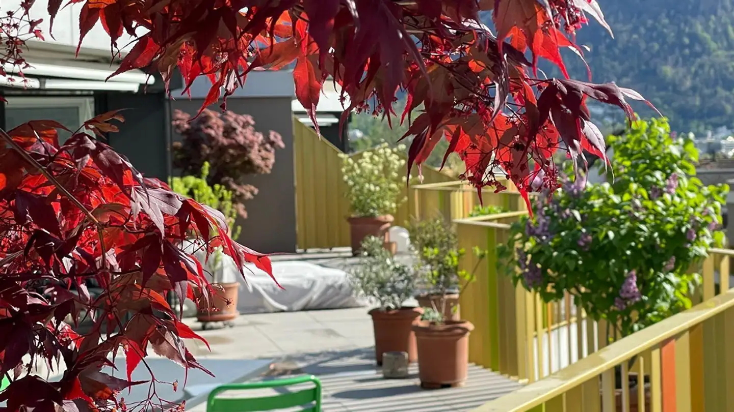 Attico in affitto - Hirschweg 13, 7000 Chur - Photo 2