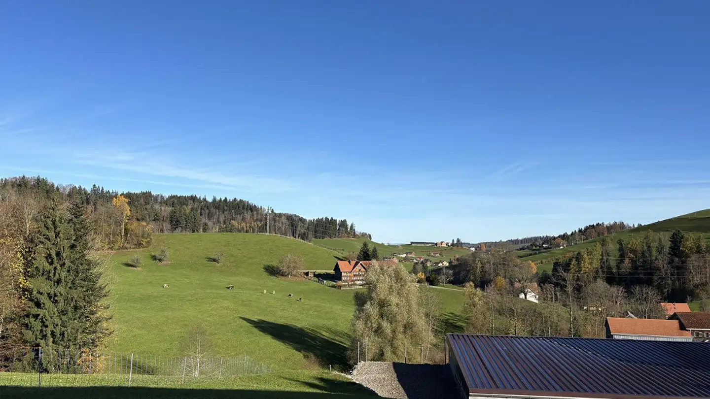 Appartamento in affitto - Schwellbrunnerstrasse 2423, 9100 Herisau - Photo 4