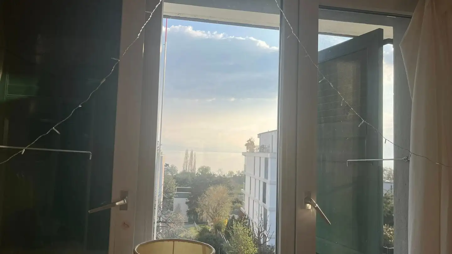 Single room for rent - Chemin De Grande-Rive 1, 1007 Lausanne - Photo 4