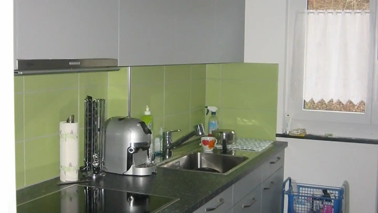 Apartment for rent - Haldenstrasse 5, 8352 Elsau - Photo 3