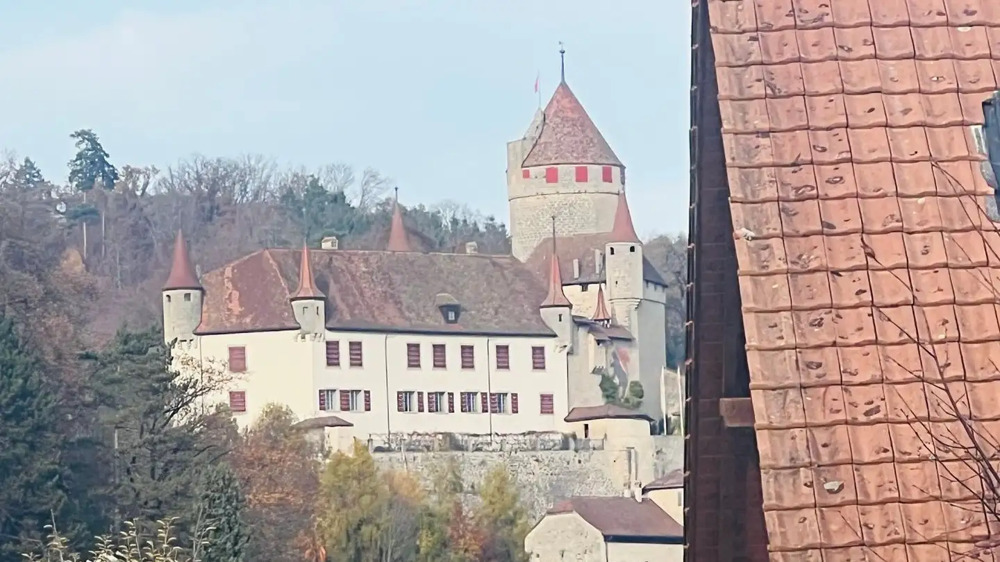 Appartement à vendre - Chemin De La Forêt, 1522 Lucens - Photo 3