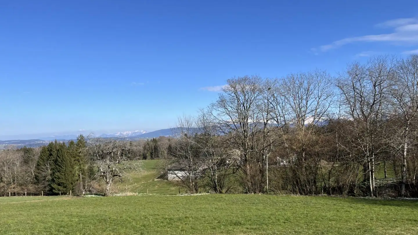 Attico in affitto - Chemin Vers Chez Les Liards 18b, 1080 Les Cullayes