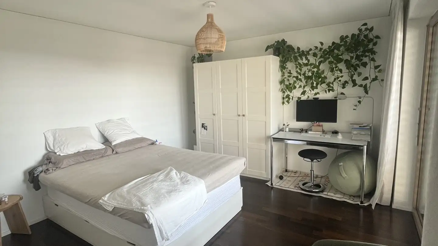 Appartement à louer - Turbinenstrasse 35, 8005 Zürich - Photo 2