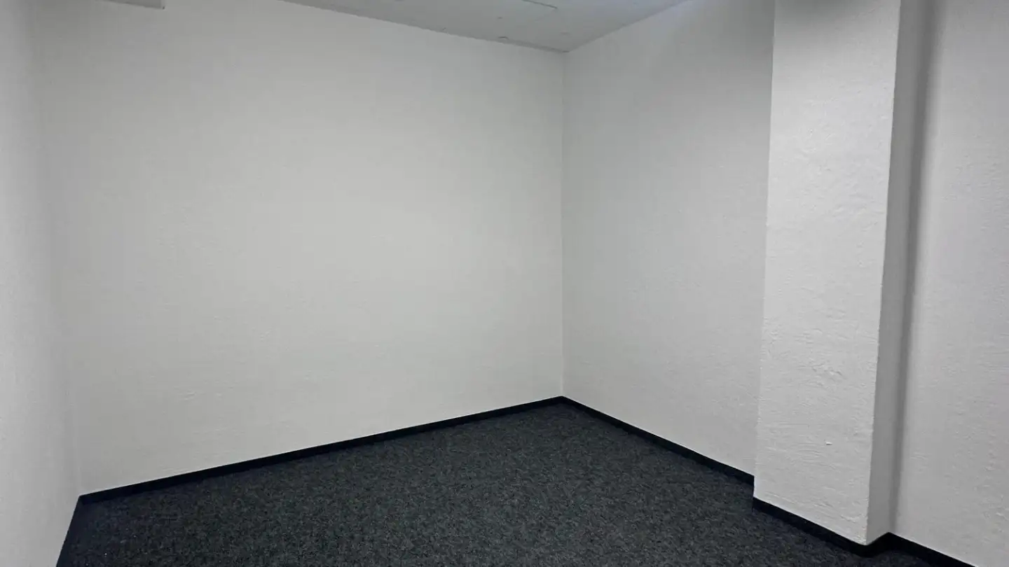 Storage space for rent - Neugütlistrasse 1, 9220 Bischofszell - Photo 3