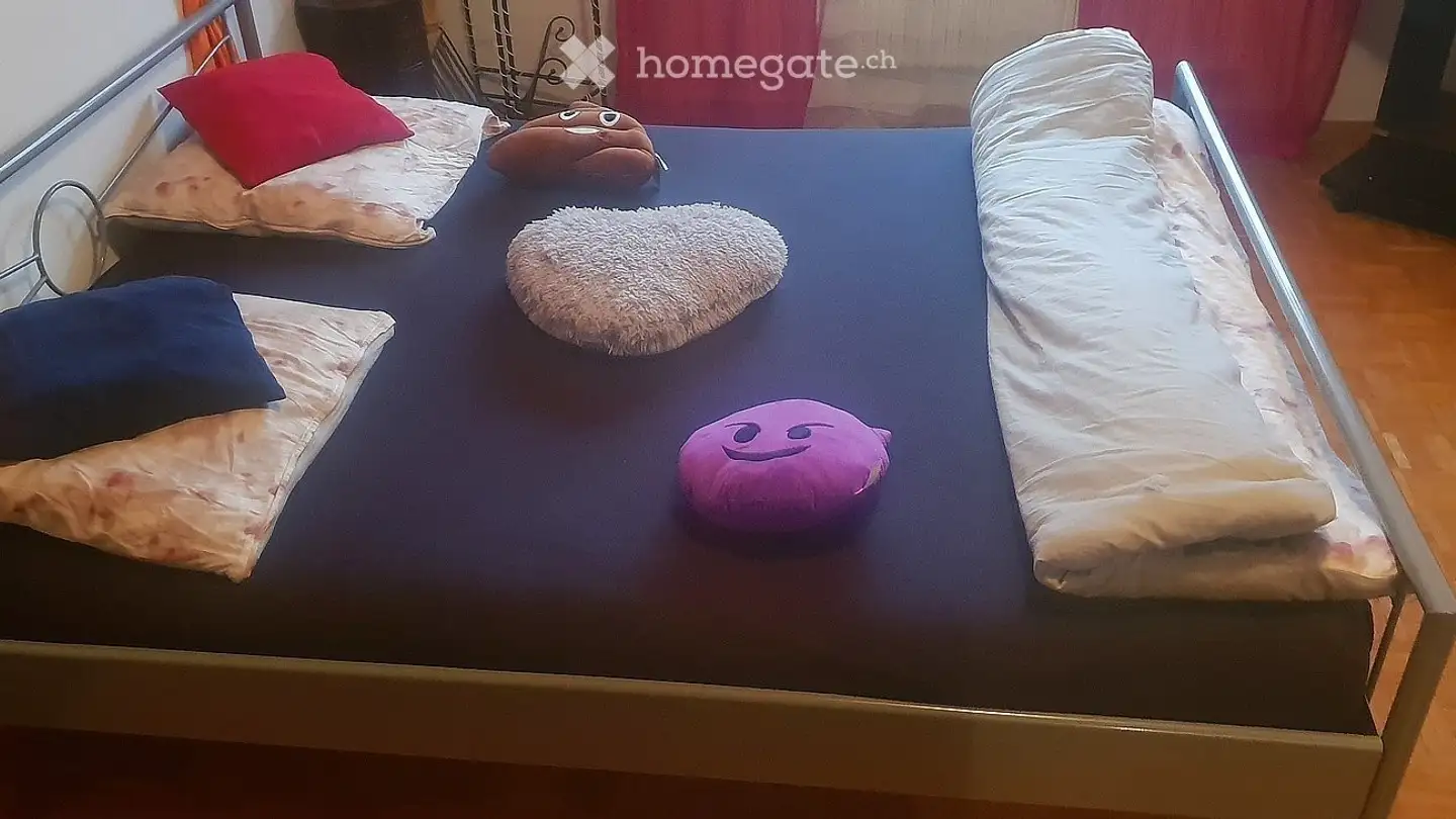 Single room for rent - Chemin Monséjour, 1700 Fribourg