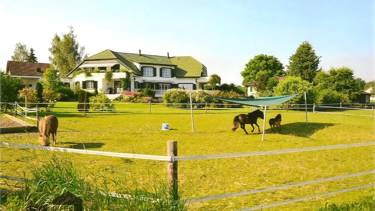 Semi-detached house for sale - Eggethof 27, 8585 Langrickenbach - Photo 2