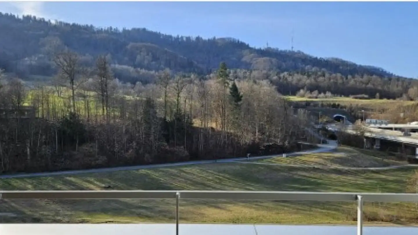 Wohnung mieten - Allmendstrasse 94, 8041 Zürich - Foto 4