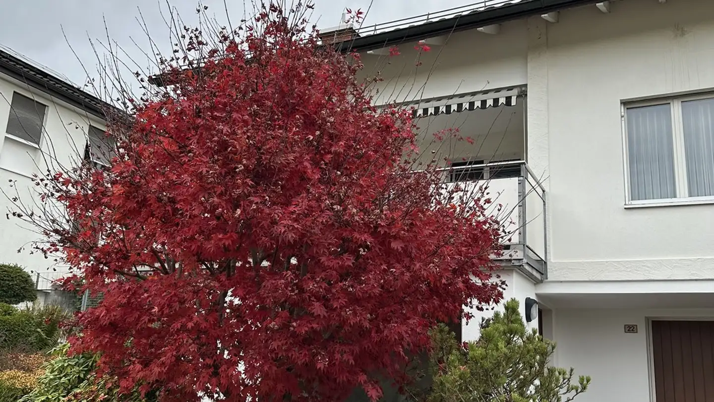 Casa singola in affitto - Langweidstrasse 22, 8624 Grüt (Gossau ZH) - Photo 4