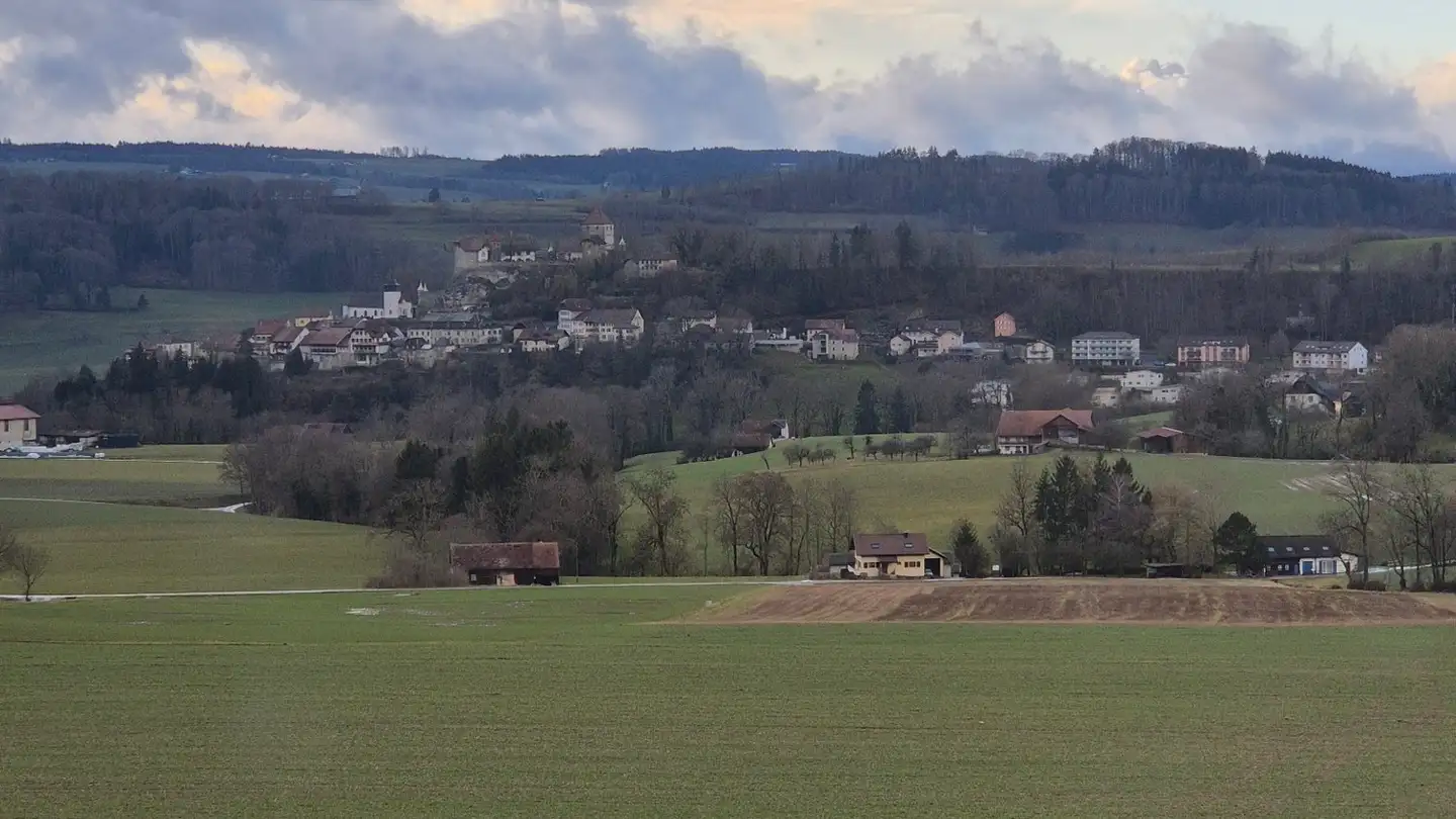 Appartamento in affitto - Route De Blessens 81, 1675 Vauderens