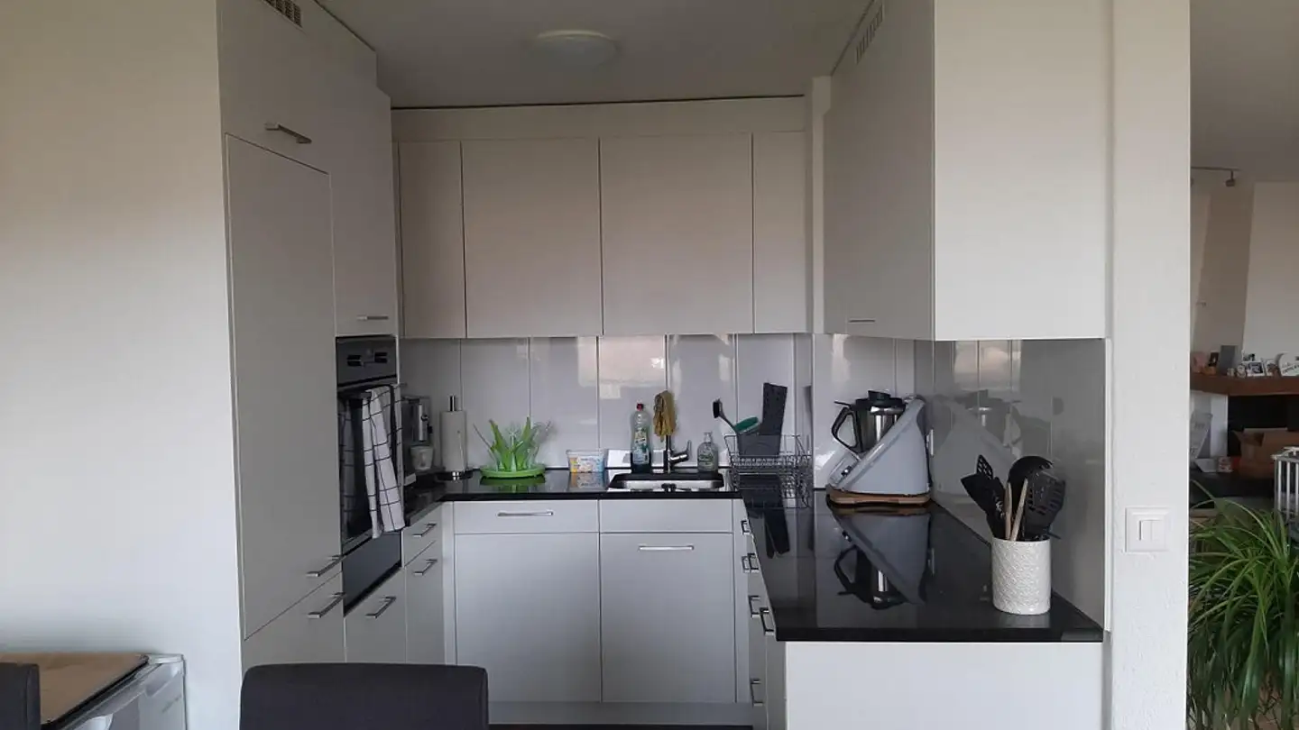 Appartamento in affitto - Wehntalerstrasse 16, 8162 Steinmaur - Foto 3