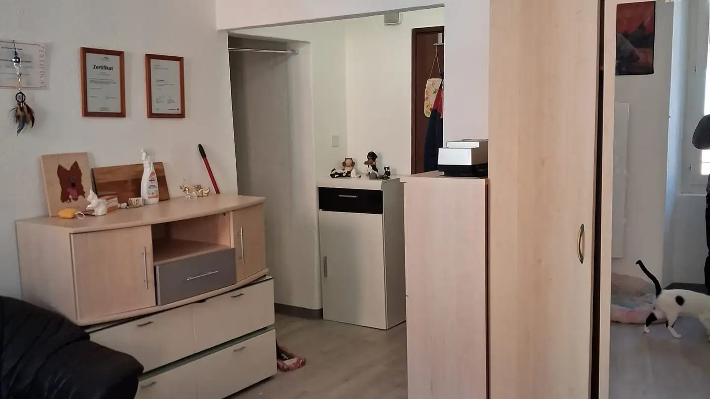 Appartement à louer - Via Valle Verzasca 5, 6596 Gordola - Photo 2