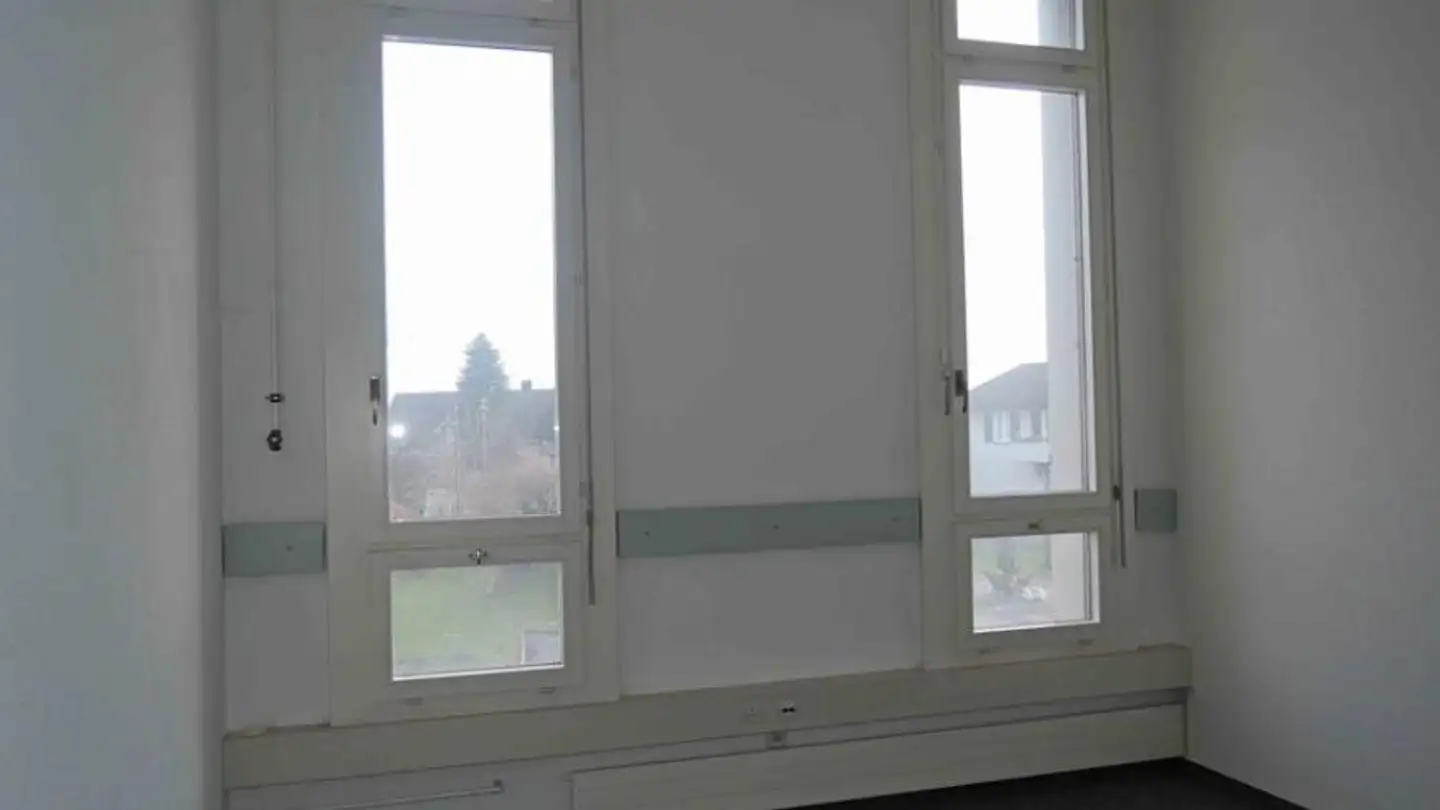 Gewerbe mieten - Ländernachstrasse 9, 9435 Heerbrugg - Foto 2