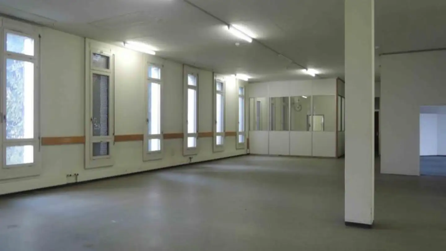 Gewerbe mieten - Ländernachstrasse 9, 9435 Heerbrugg - Foto 3