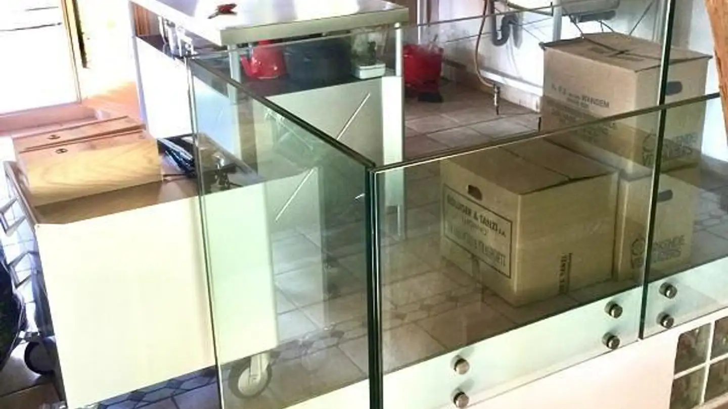 Fattoria in vendita - 6749 Sobrio - Photo 3