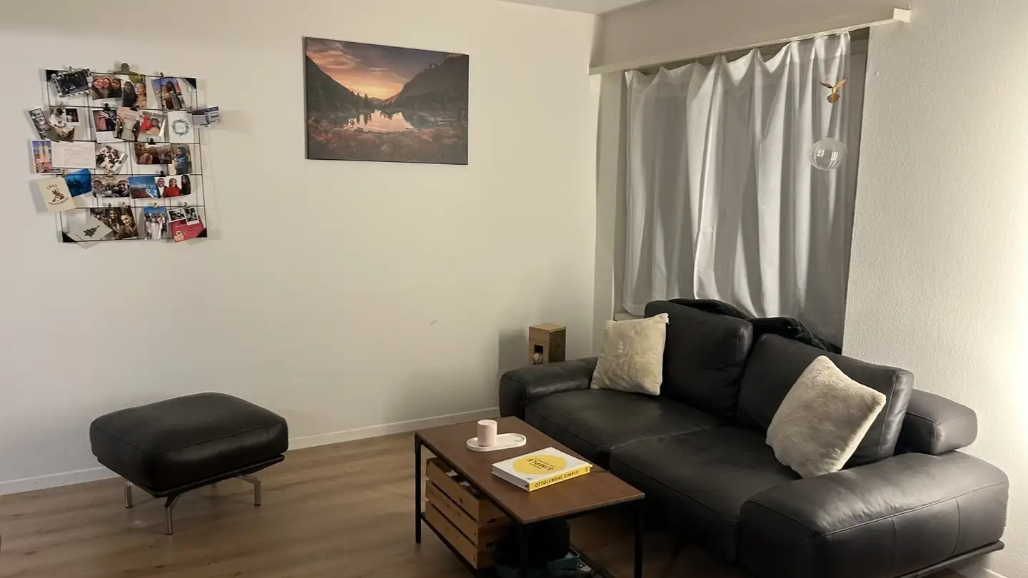 Appartamento in affitto - 8952 Schlieren