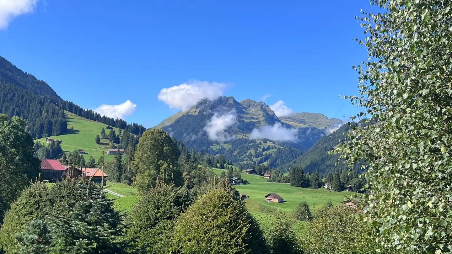 Wohnung mieten - 3780 Gstaad