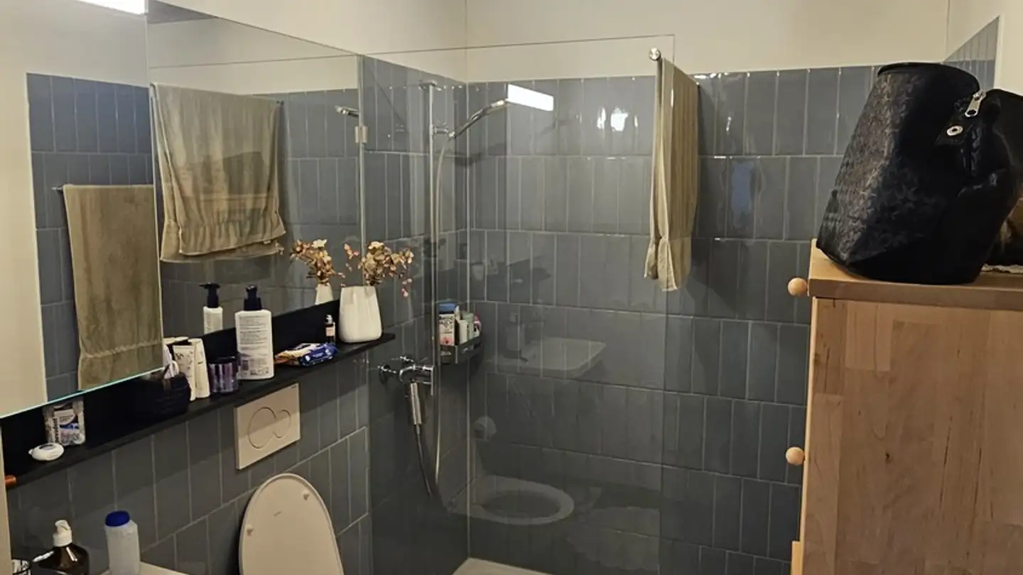 Apartment for rent - Geerenstrasse 36, 8302 Kloten - Photo 4