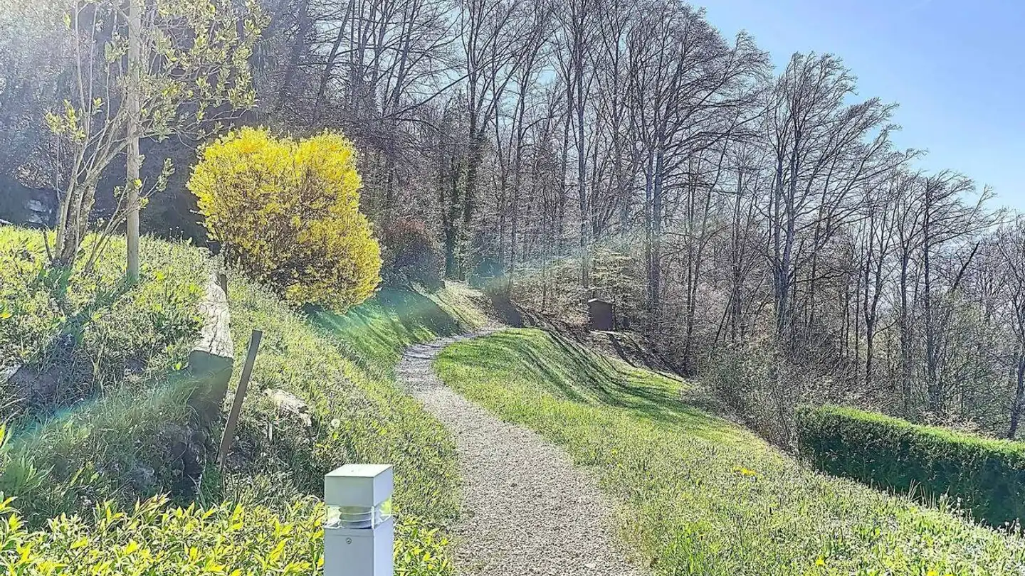 Villa for sale - 1807 Blonay - Photo 2