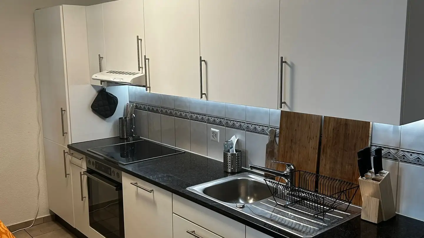 Appartement meublé à louer - Unterwerkstrasse 7, 8052 Zürich - Photo 3