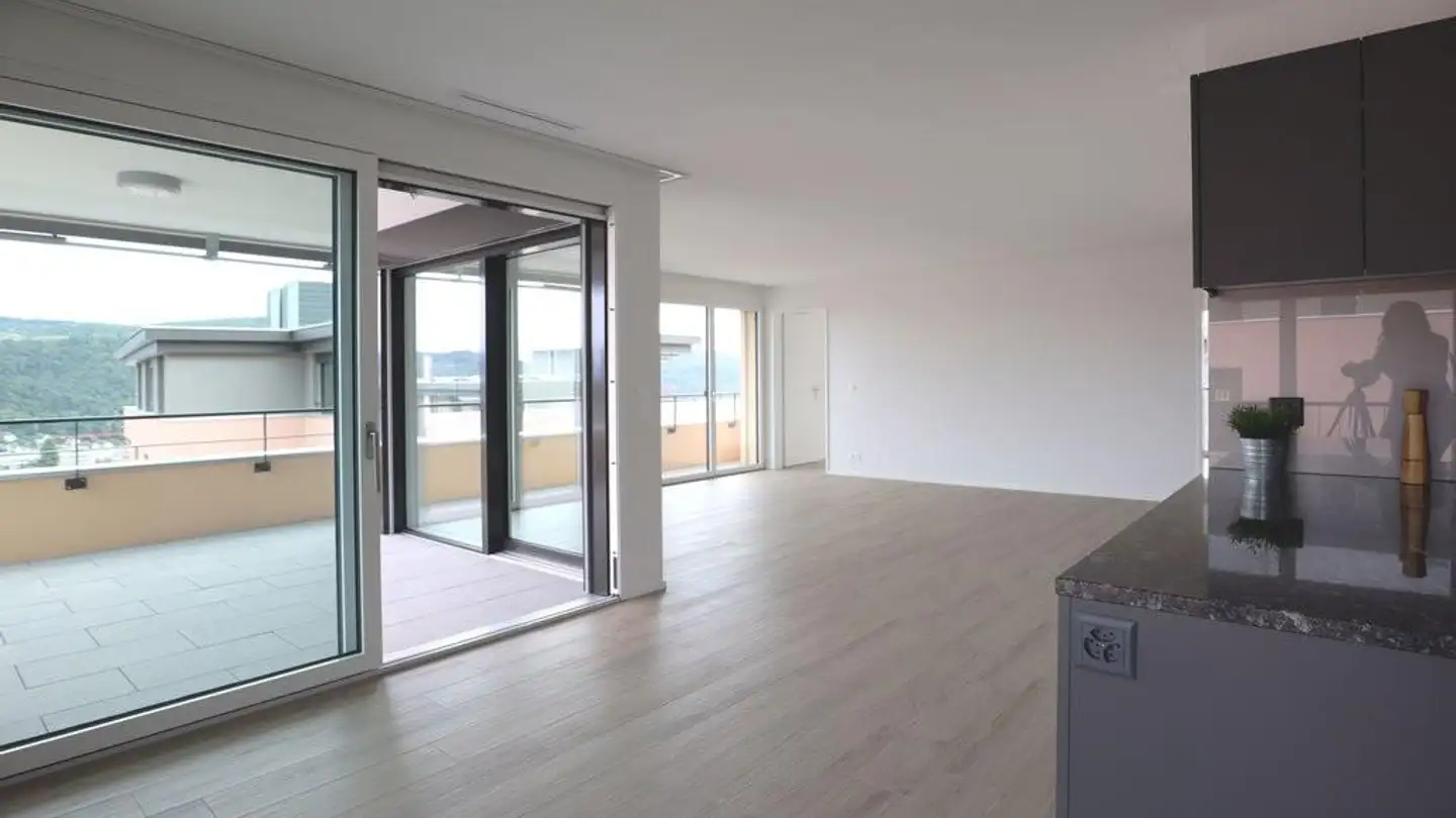 Apartment for rent - Tiergartenstrasse 52b, 4410 Liestal - Photo 3