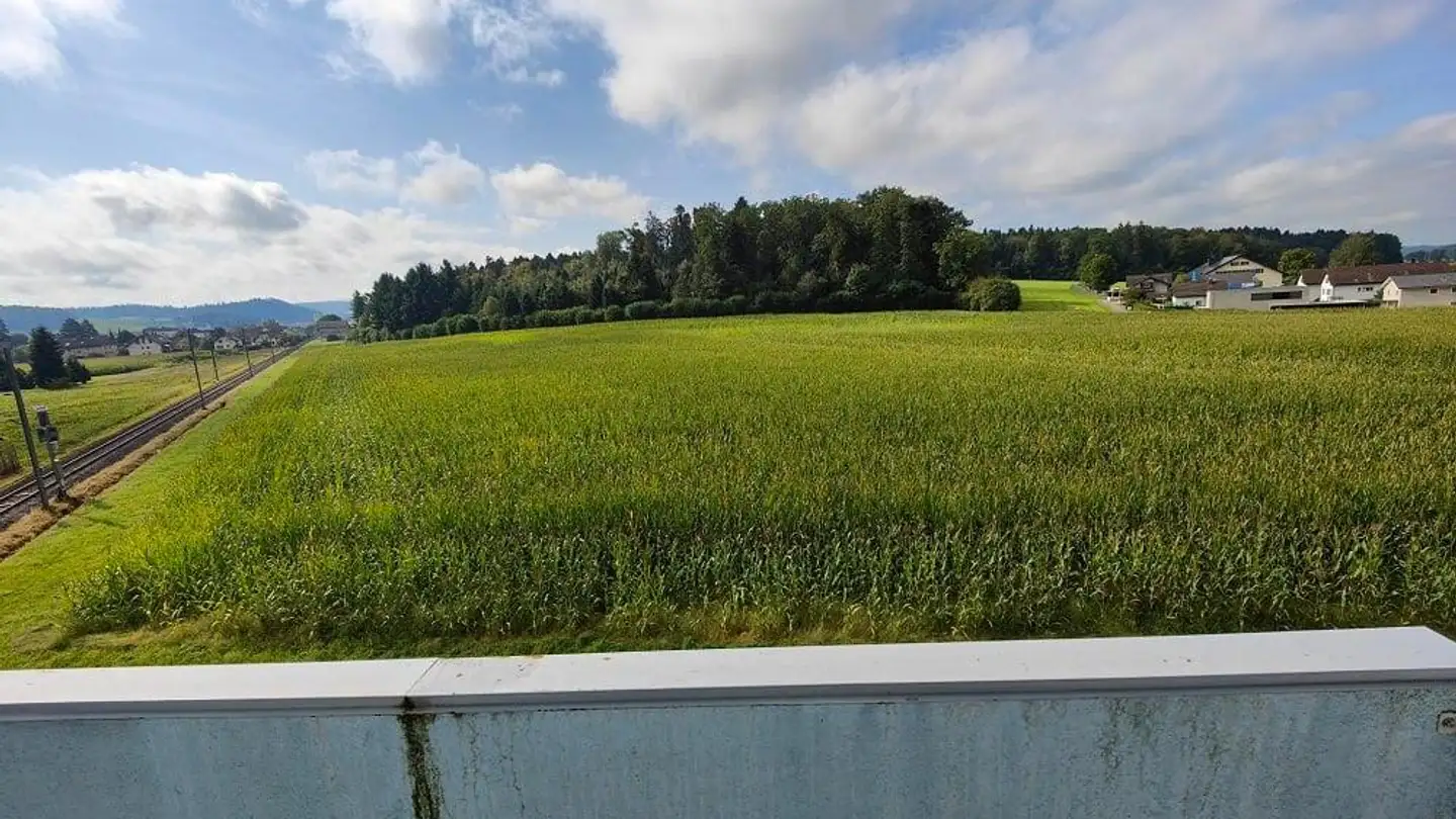 Wohnung mieten - Bleienbachstrasse 61, 4900 Langenthal
