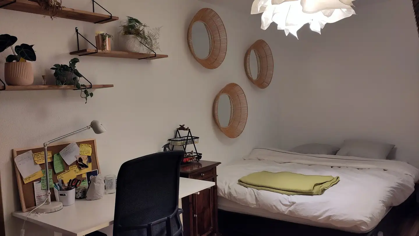 Stanza singola in affitto - 8051 Zürich - Foto 2