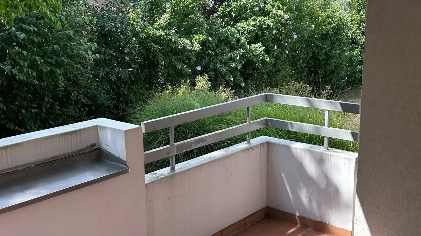 Wohnung mieten - Birkenweg 11, 4102 Binningen