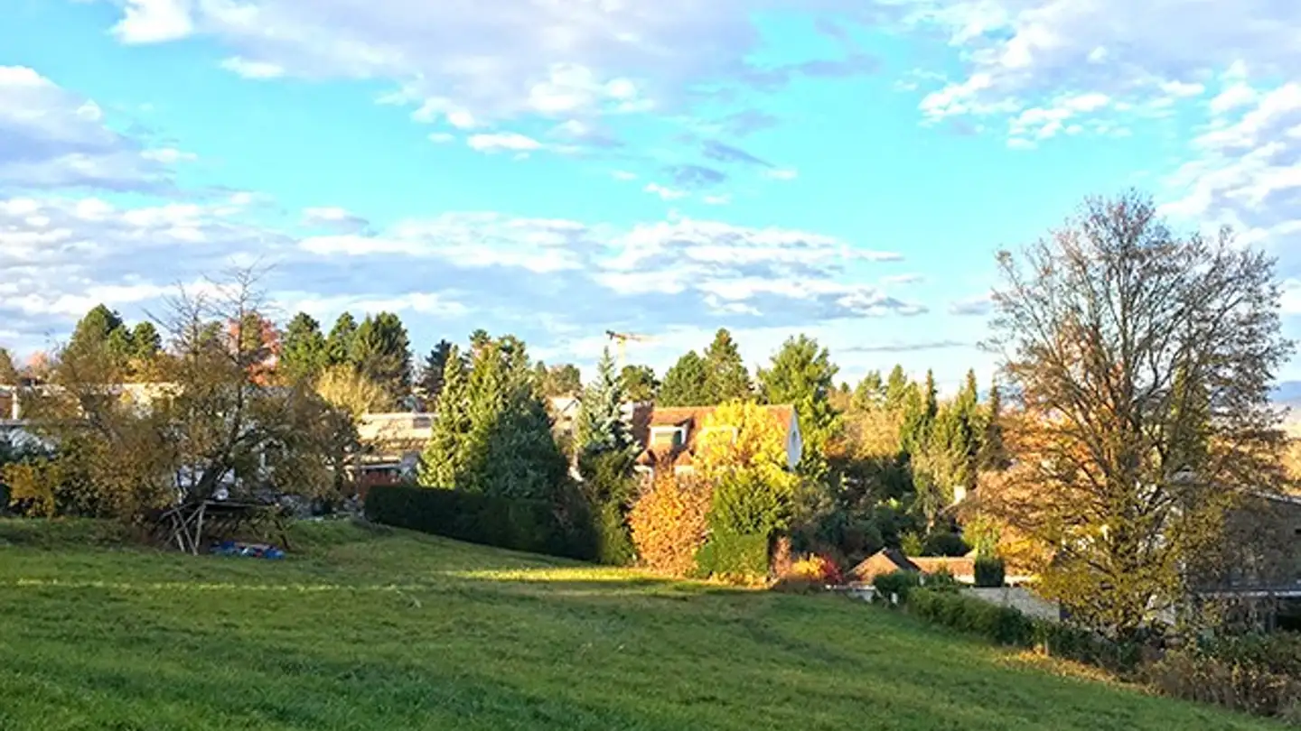 Single house for sale - 4102 Binningen