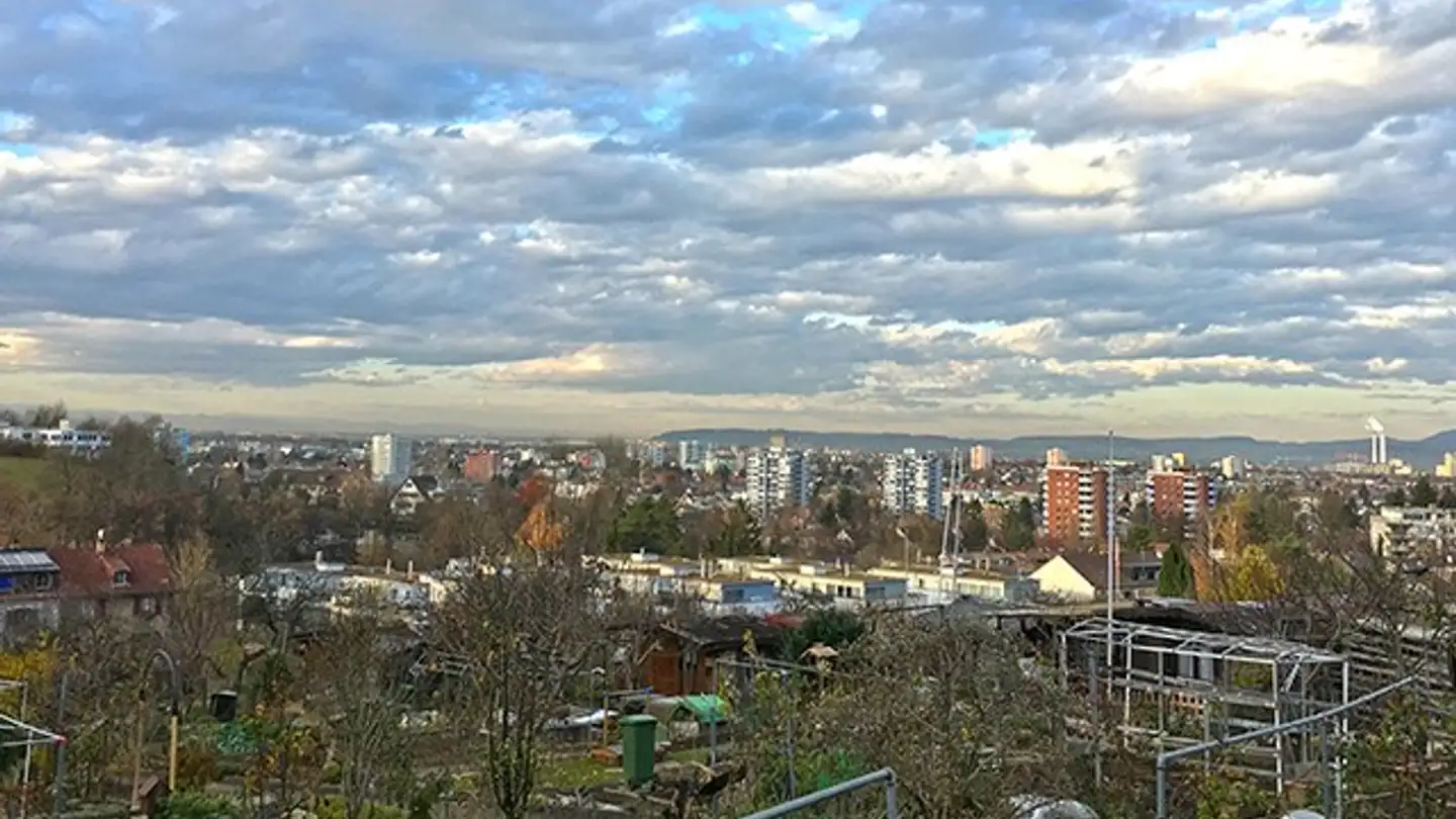 Single house for sale - 4102 Binningen - Photo 2