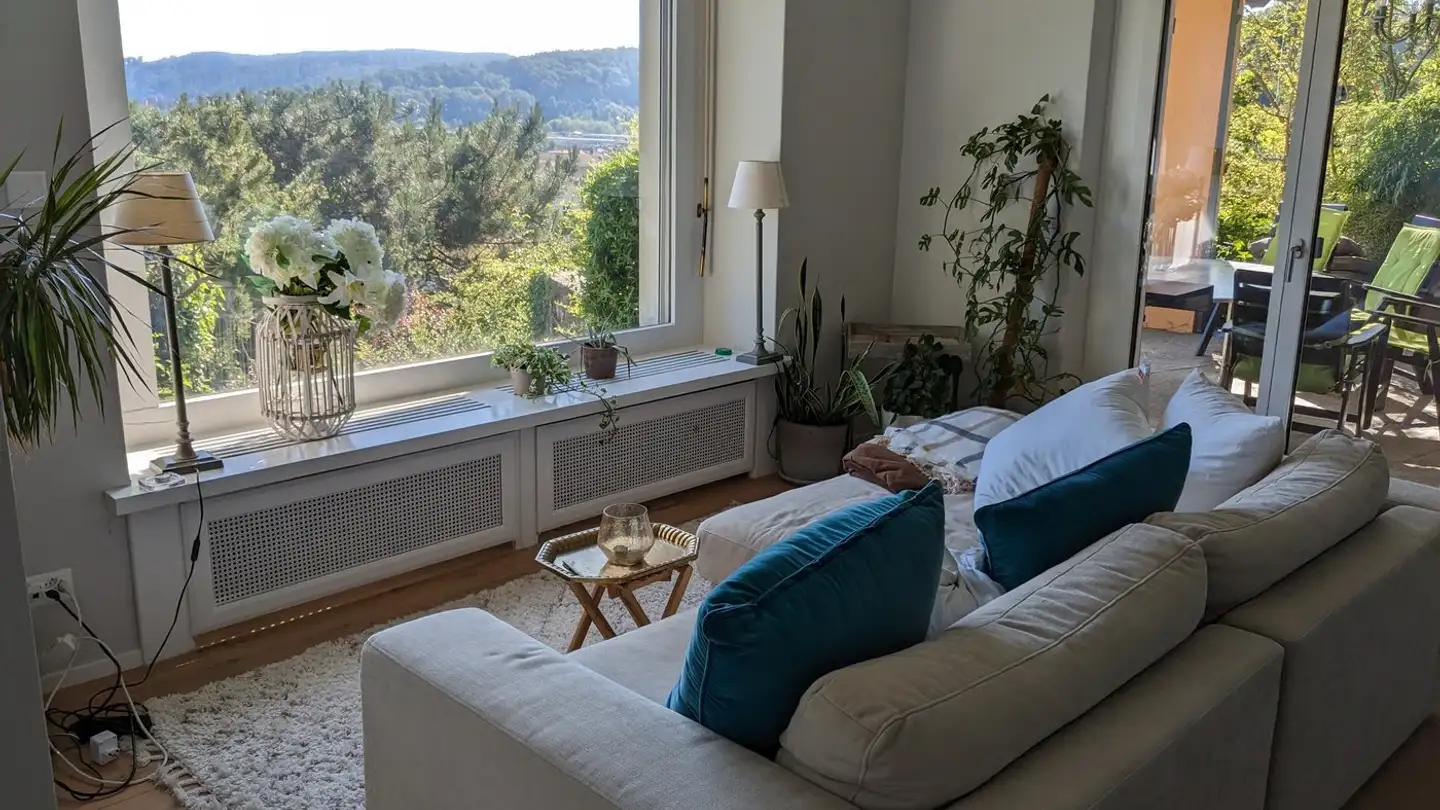 Appartamento in affitto - Tachlisbrunnenstrasse 29, 8400 Winterthur