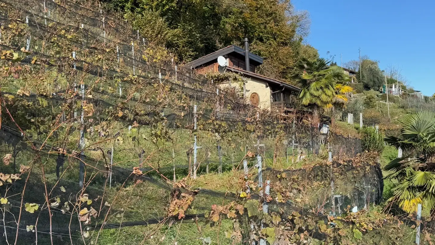 Casa grotta in vendita - Via Ai Ronchi, 6936 Cademario - Photo 3