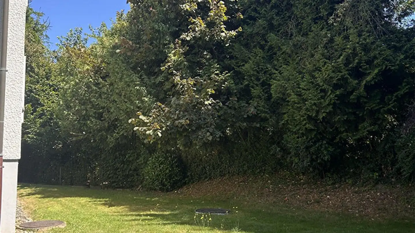 Appartement à louer - Erlenweg 11, 3053 Münchenbuchsee - Photo 2