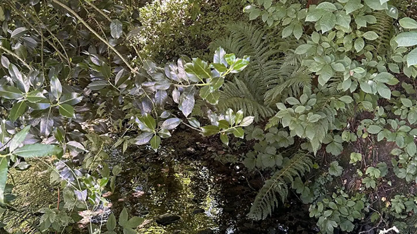 Appartement à louer - Erlenweg 11, 3053 Münchenbuchsee - Photo 3