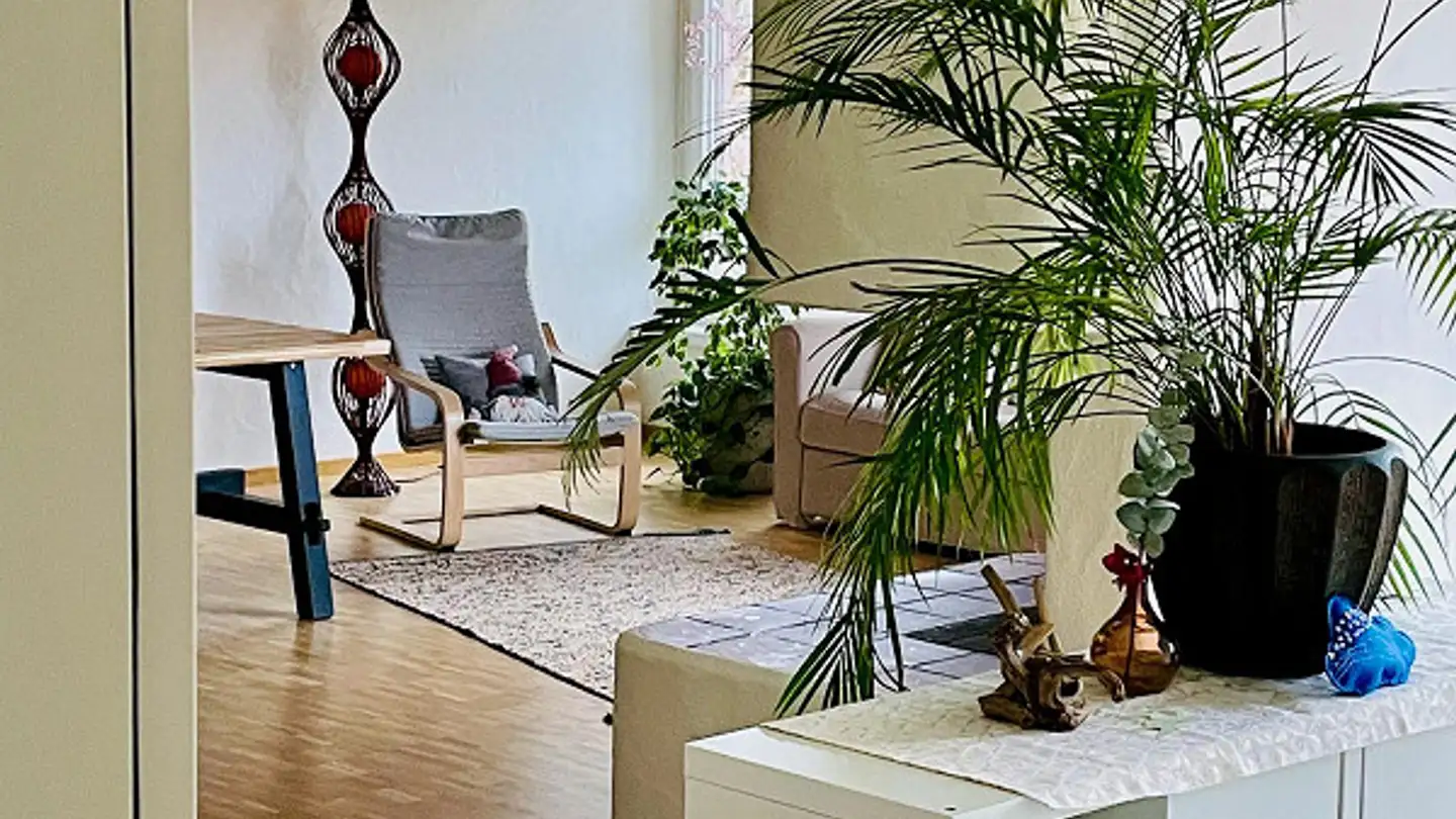 Penthouse mieten - Burgeraustrasse 30, 8640 Rapperswil SG - Foto 2