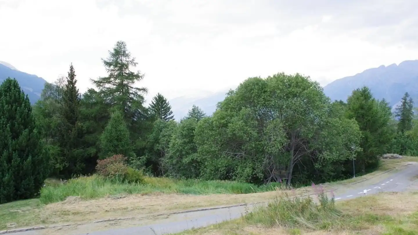 Constructible plot for sale - Obere Ringstrasse, 3935 Bürchen