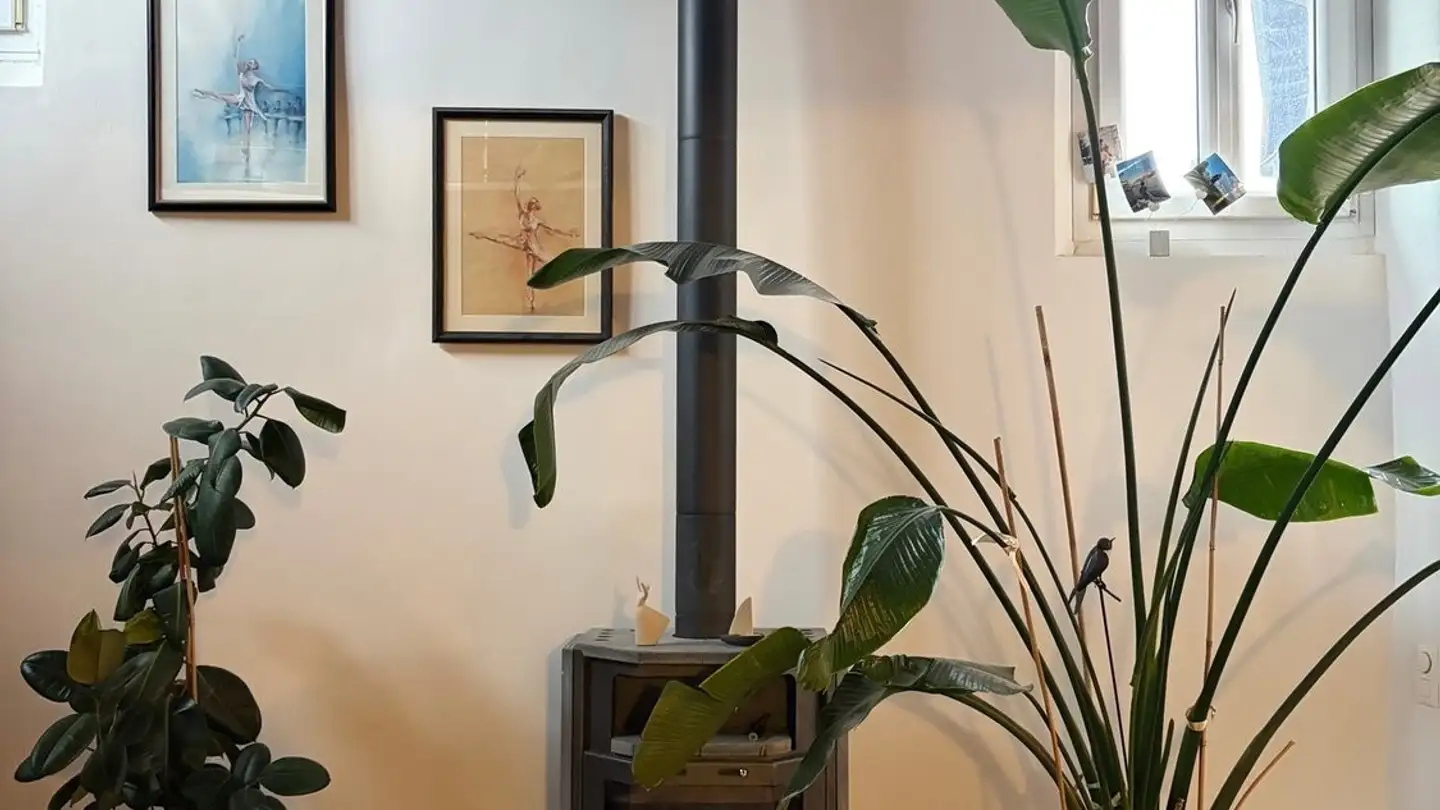 Casa singola in affitto - 6922 Morcote - Foto 4