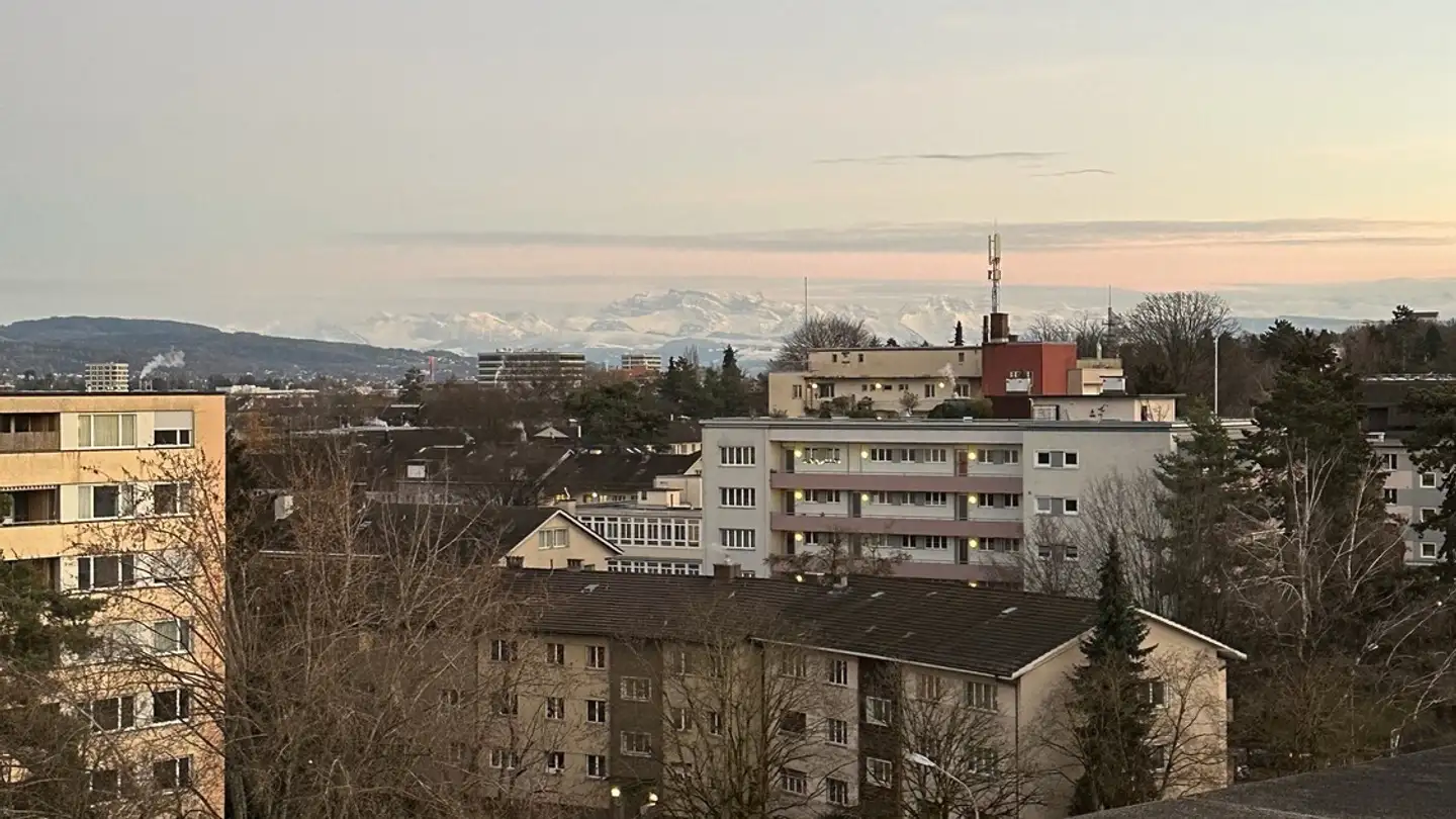 Single room for rent - 8055 Zürich - Photo 4