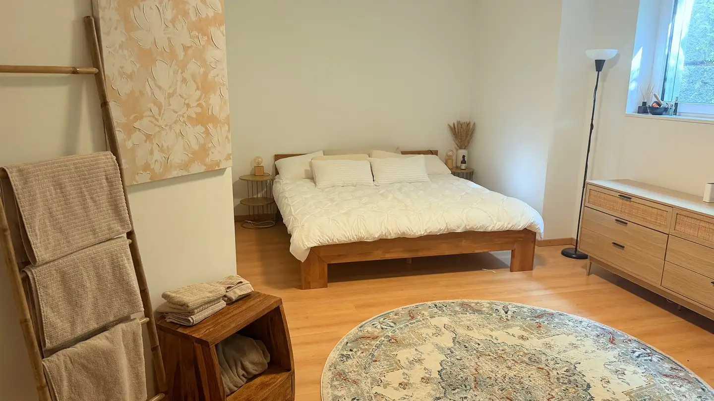 Möblierte Wohnung mieten - 8606 Greifensee
