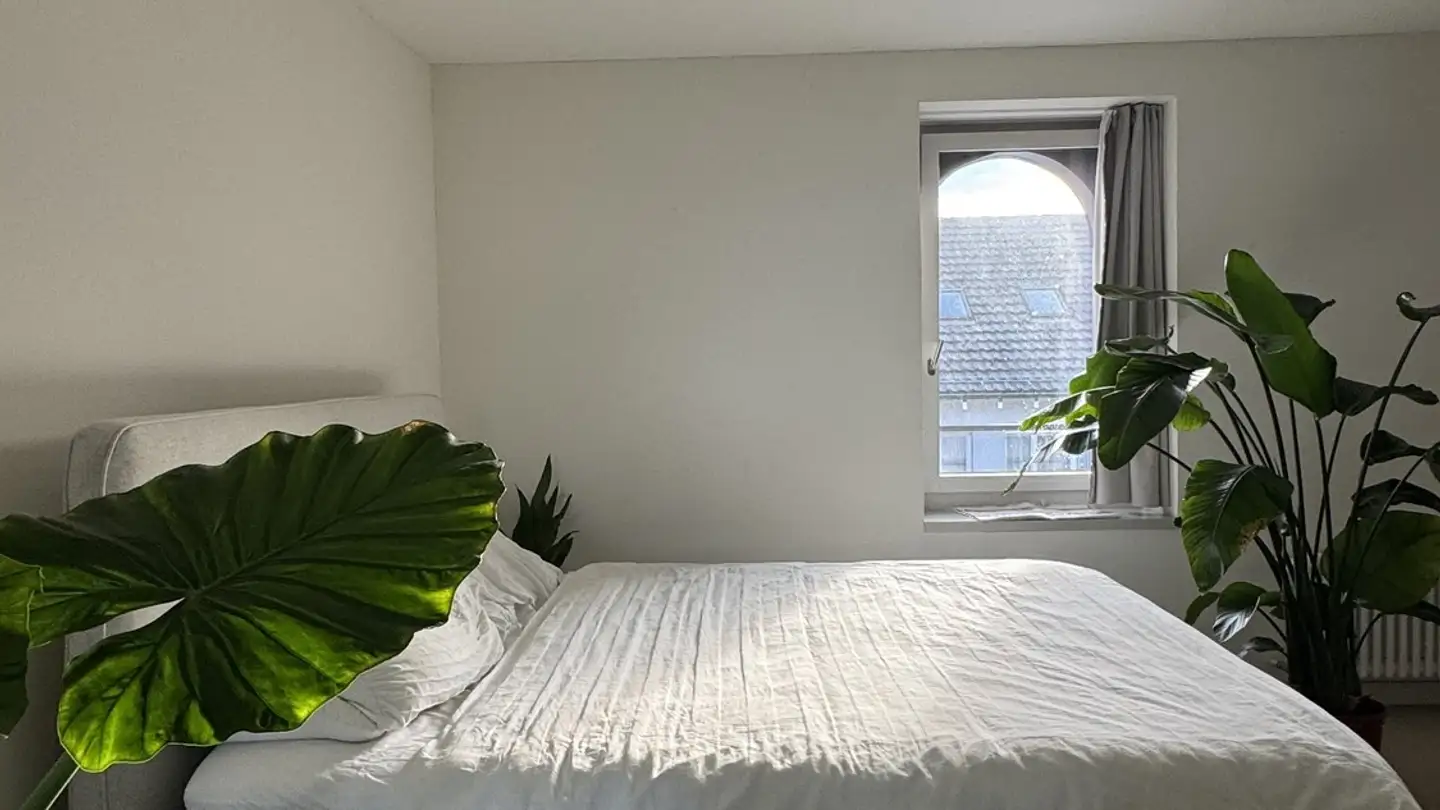 Appartement à louer - 8004 Zürich - Photo 4