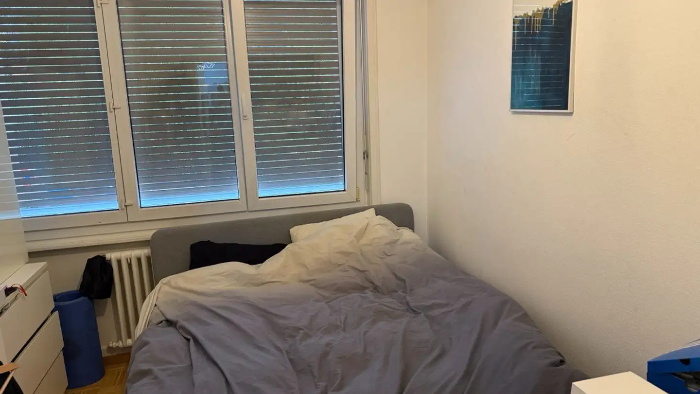 Single room for rent - Chemin De La Toffeyre 11, 1095 Lutry