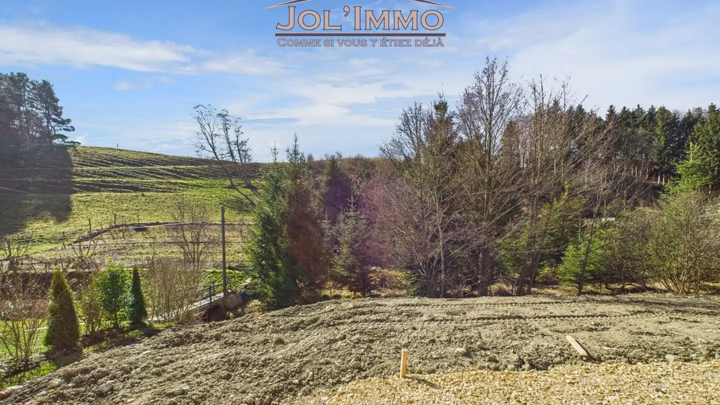 Casa singola in vendita - 2738 Court - Photo 3