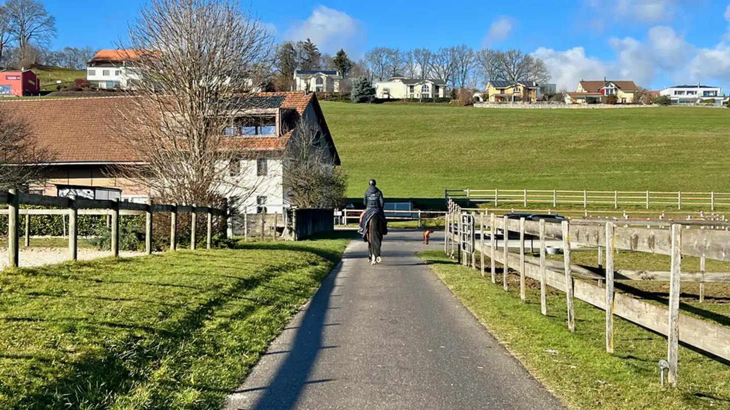 Reithalle kaufen - 1700 Fribourg