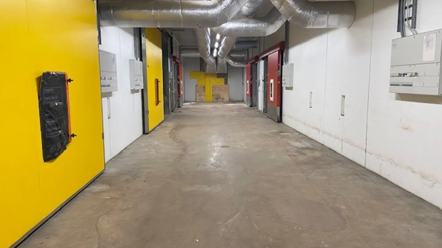 Immeuble industriel à louer - Neufeldweg 4, 4913 Bannwil - Photo 4