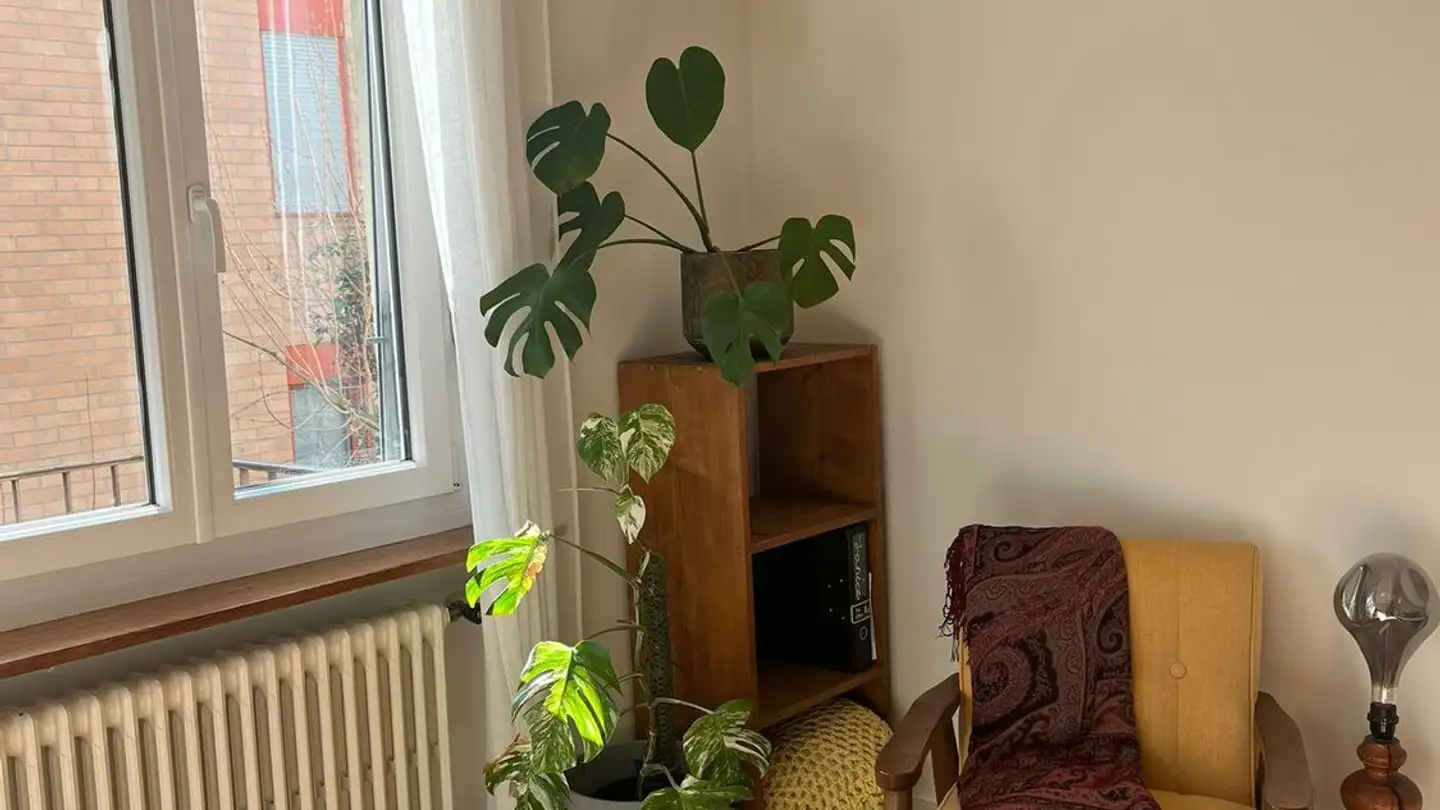 Wohnung mieten - 8037 Zürich - Foto 2