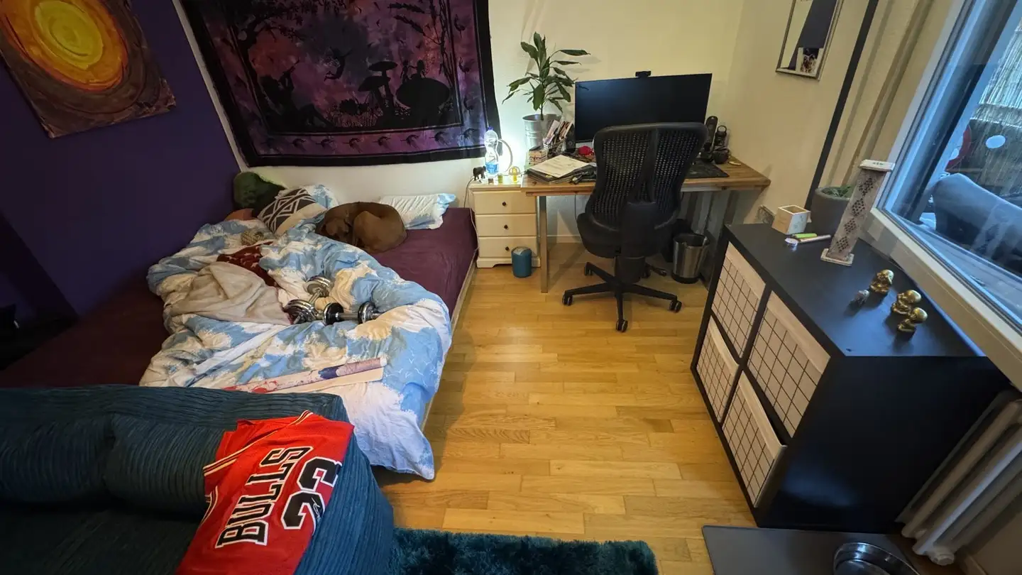 Wohnung mieten - Jakob-Fügli-Strasse, 8048 Zürich