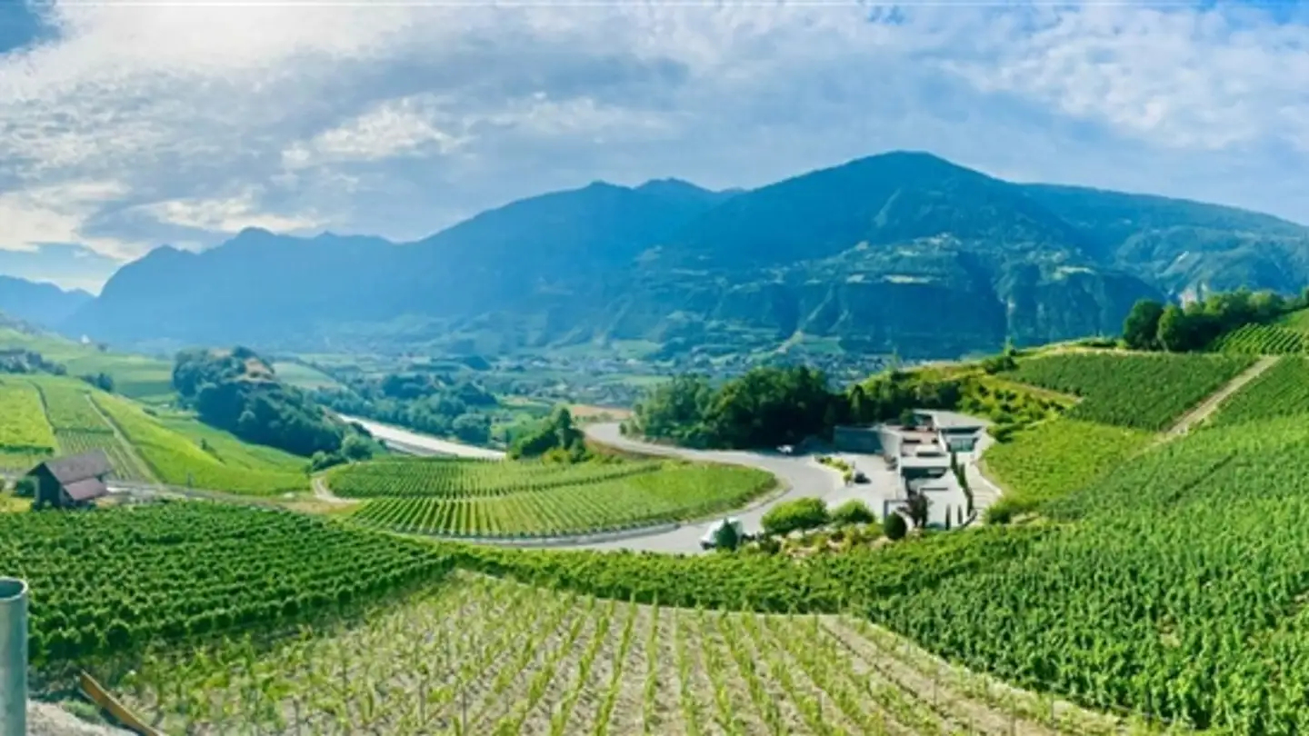 Appartamento in vendita - Route De Granges, 3978 Flanthey - Photo 2